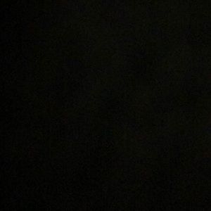 Meet your Posher, Harleigh